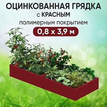 Грядка красная (0,8 х 3,9)